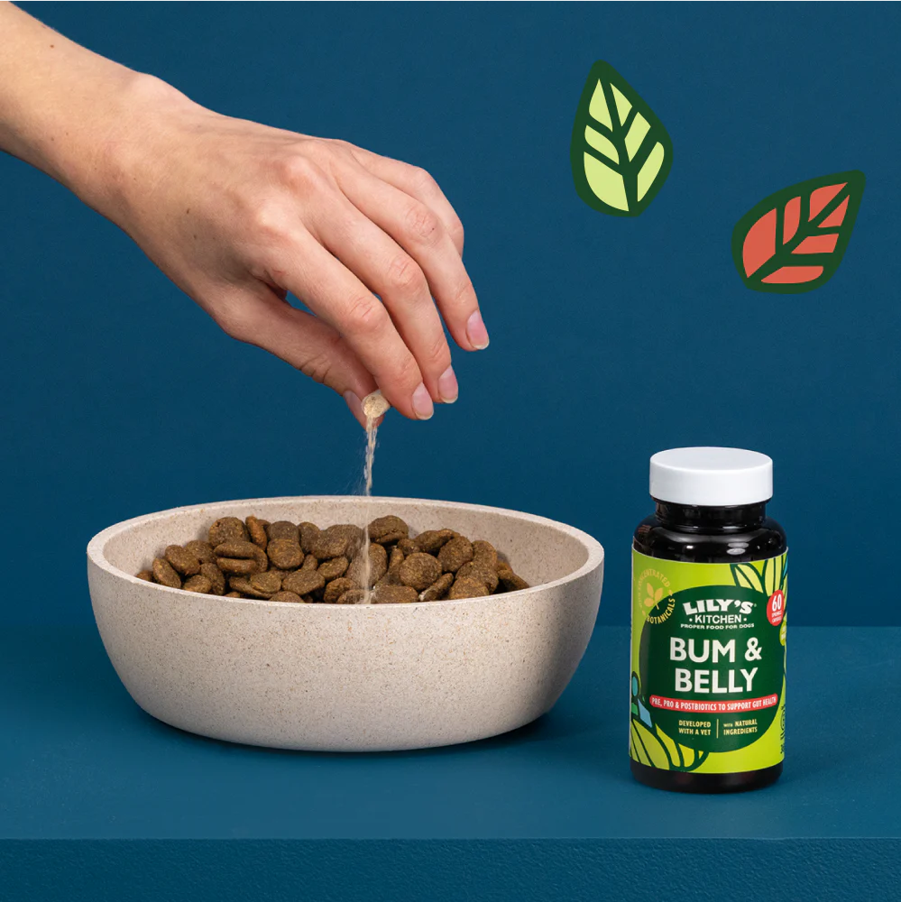 Bum & Belly Supplements for Dogs (60 capsules) - Image 3