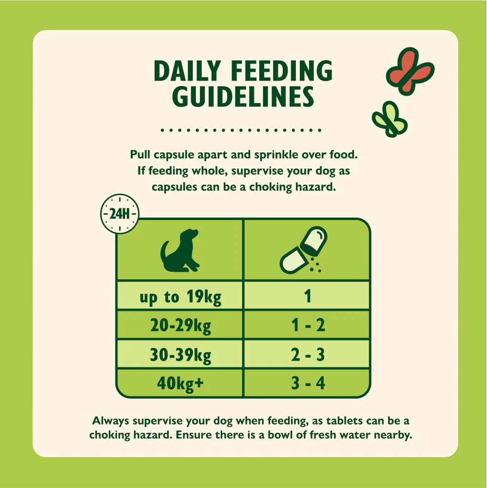 Bum & Belly Supplements for Dogs (60 capsules) - Image 4