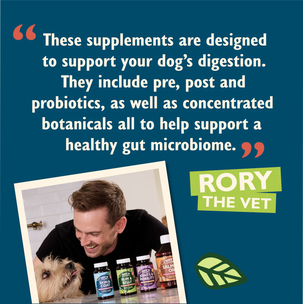 Bum & Belly Supplements for Dogs (60 capsules) - Image 5