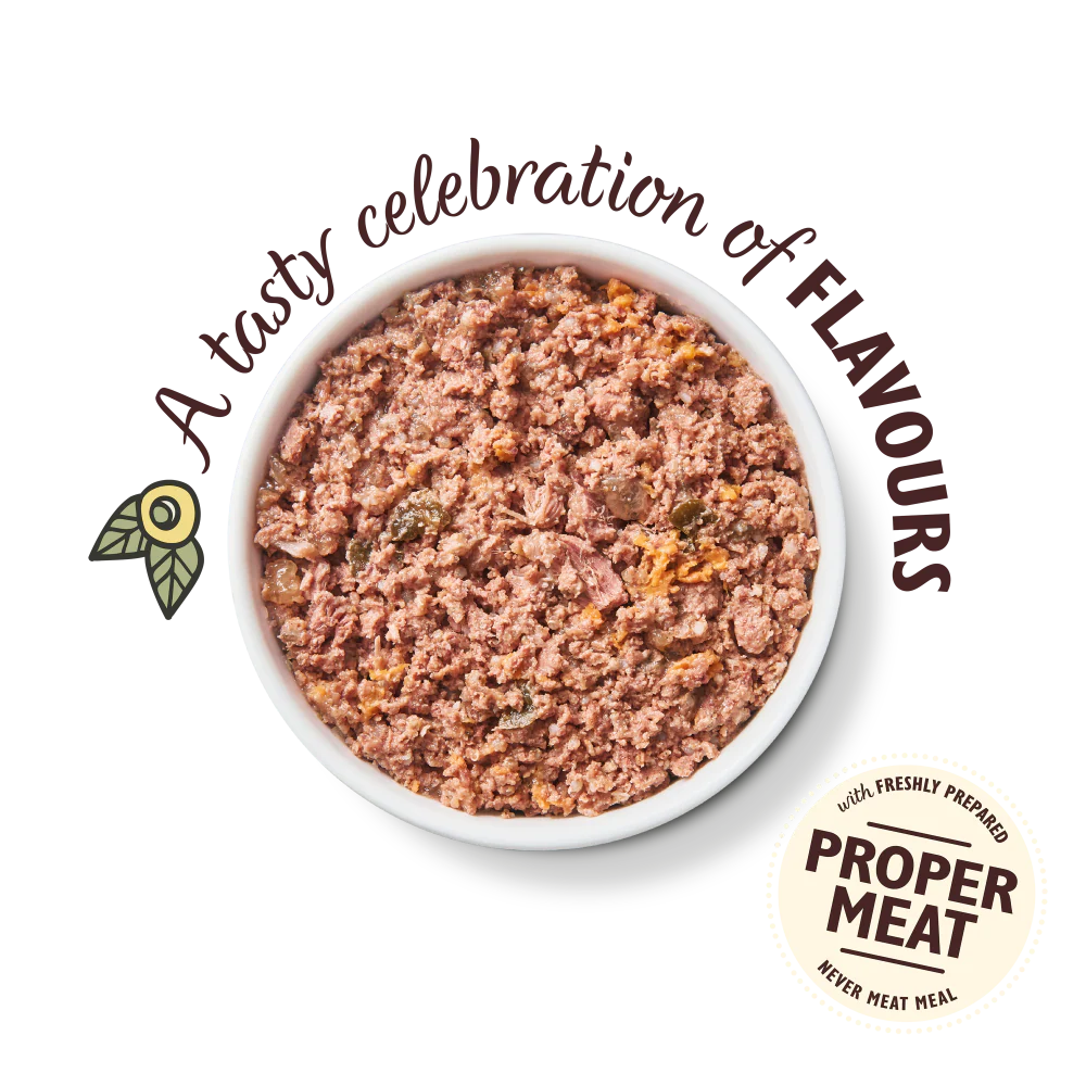 Carnival Chicken (6 x 400g) - Image 3