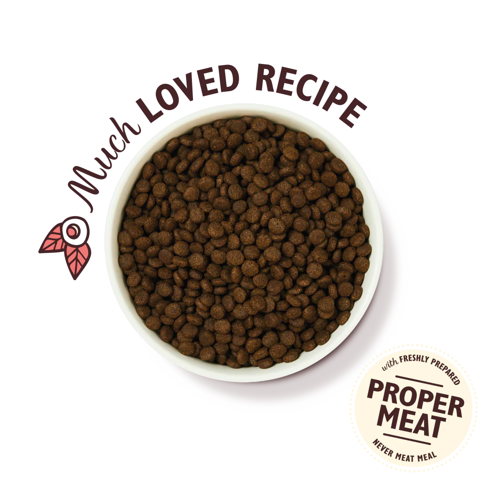 Chicken & Salmon Dry Food for Puppies - Image 3