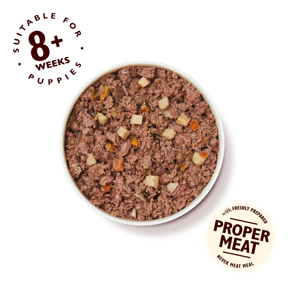 Chicken Puppy Recipe (6 x 400g) - Image 3