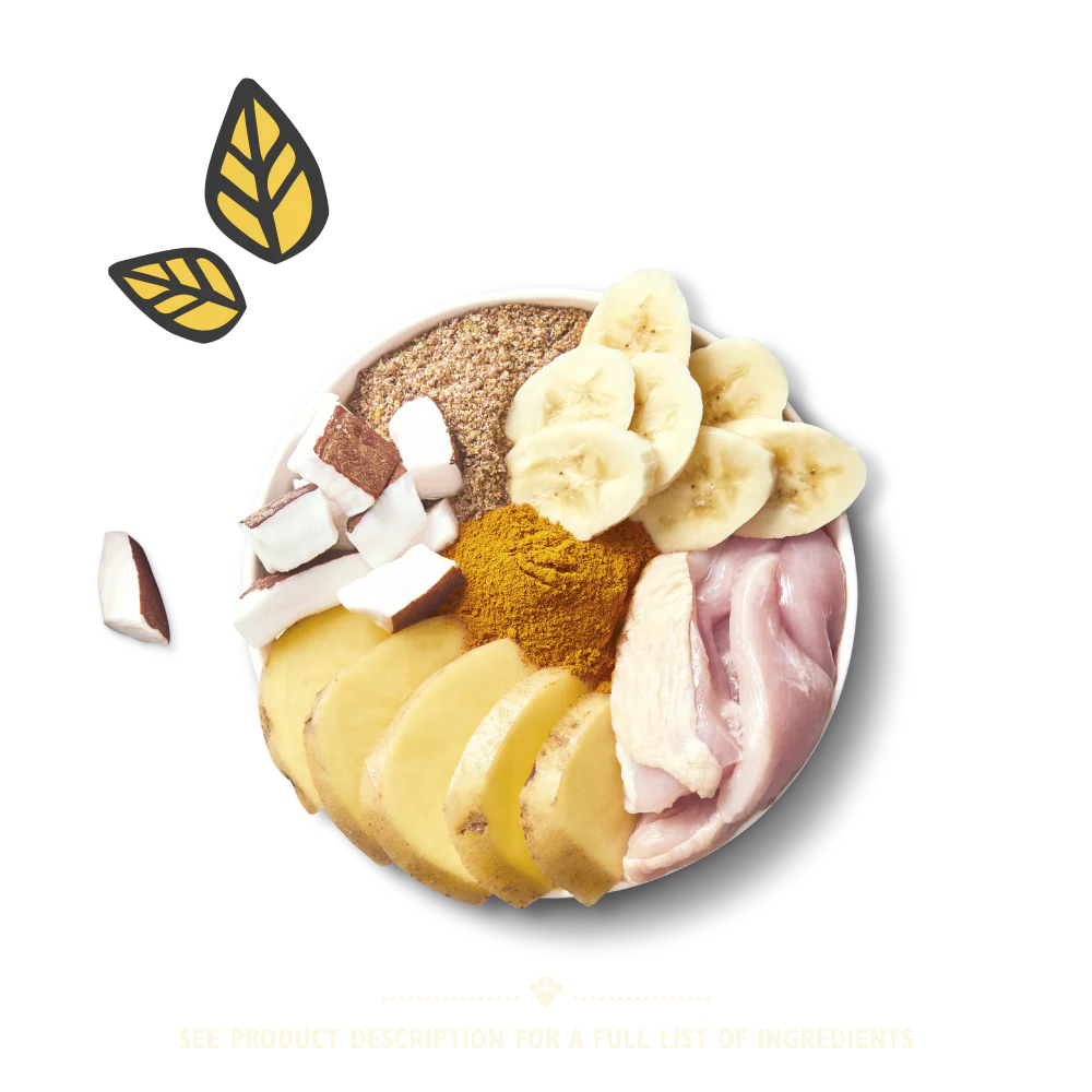 Chicken On the Go Bar (40g) - Image 3