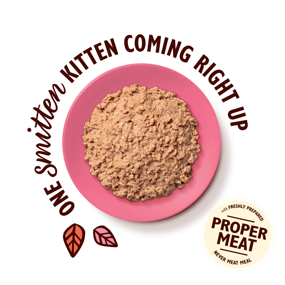 Chicken Paté for Kittens (85g) - Image 3