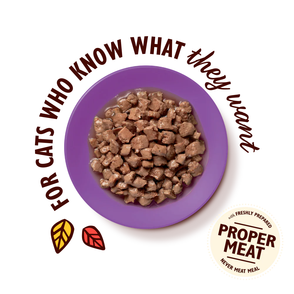 Chicken with Fish Tasty Cuts in Gravy for Mature Cats (85g) - Image 3