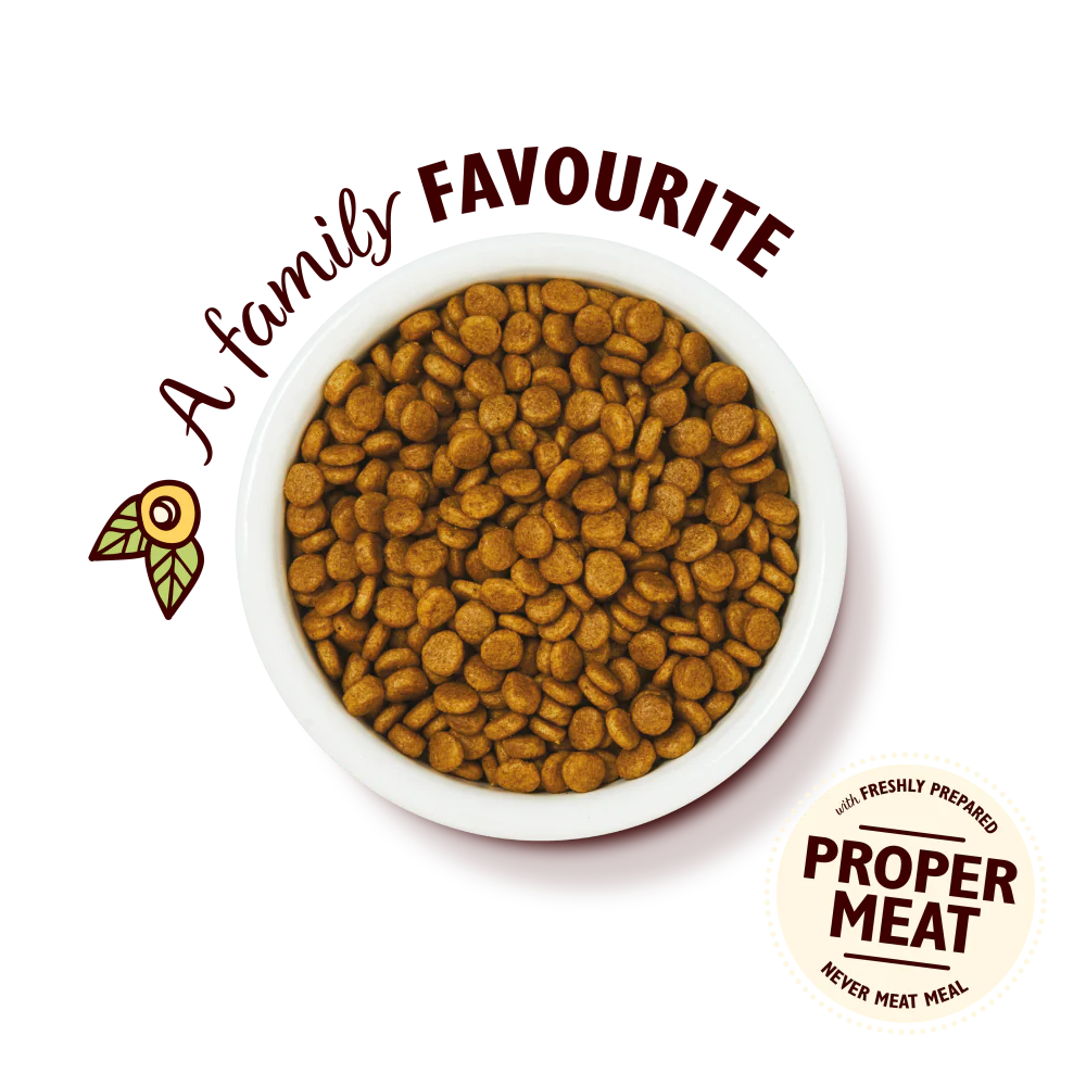 Chicken with White Fish Kitten Dry Food (800g) - Image 3