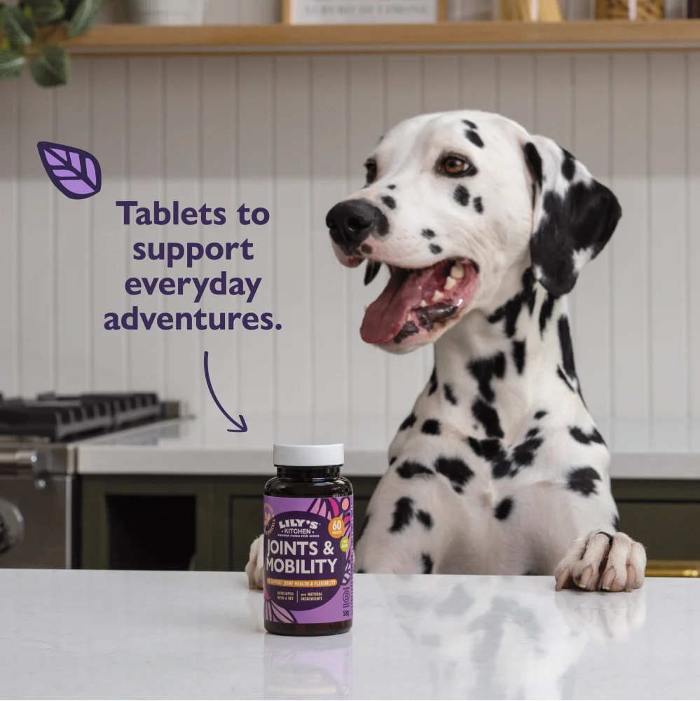 Joints & Mobility Supplements for Dogs (60 tablets) - Image 4