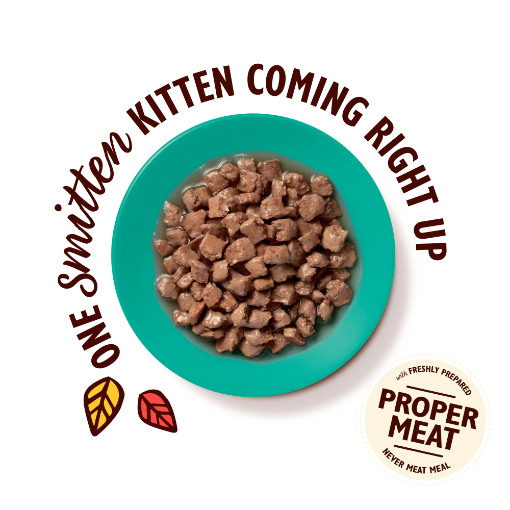 Kitten Tasty Cuts in Gravy Multipack (32 x 85g) - Image 3