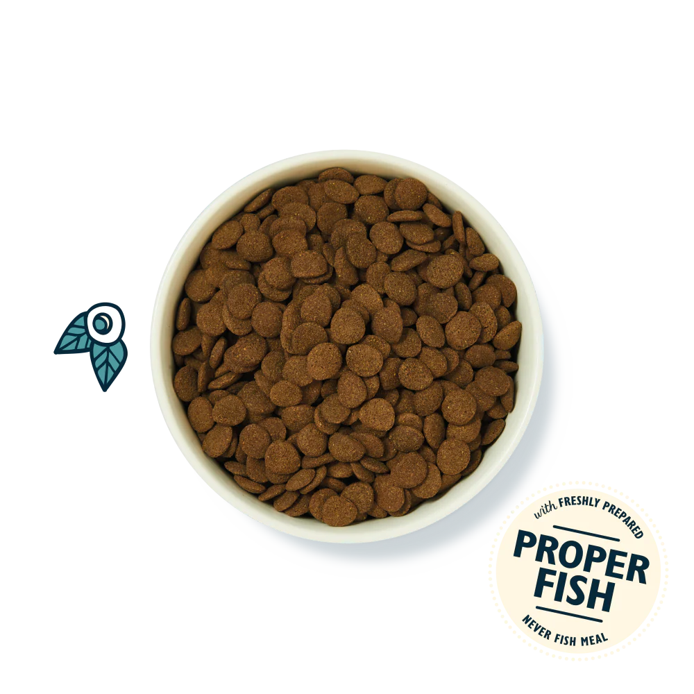 Salmon Dry Food - Image 3