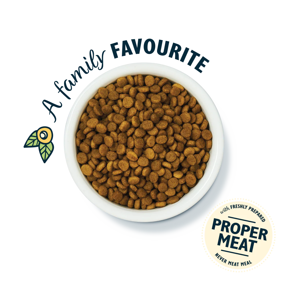 White Fish with Turkey & Trout Senior Dry Food (4 x 800g) - Image 3